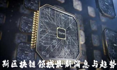 
俄罗斯区块链领域最新消息与趋势分析