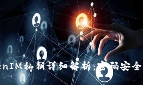 : TokenIM私钥详细解析：密码安全与管理