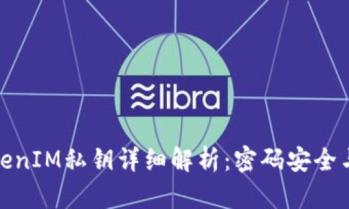 : TokenIM私钥详细解析：密码安全与管理