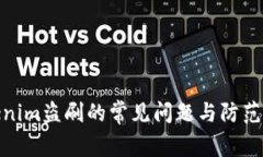 Tokenim盗刷的常见问题与防