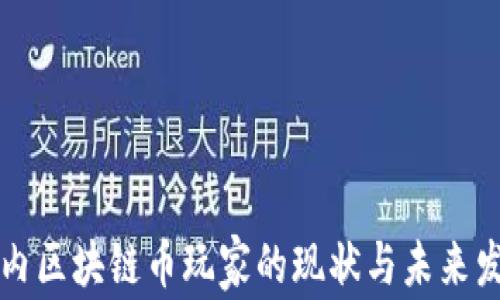 
国内区块链币玩家的现状与未来发展