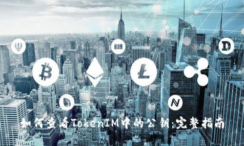 如何查看TokenIM中的公钥：完整指南