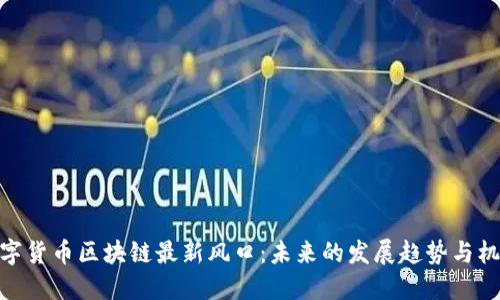 数字货币区块链最新风口：未来的发展趋势与机遇