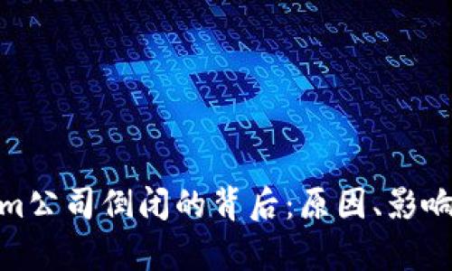 prisTokenim公司倒闭的背后：原因、影响与未来展望