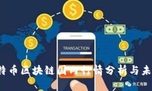 2023年比特币区块链国内行情分析与未来趋势展望