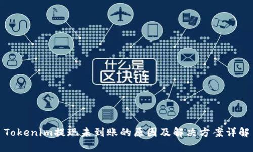 Tokenim提现未到账的原因及解决方案详解
