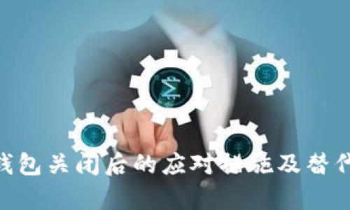 Tokenim钱包关闭后的应对措施及替代方案分析