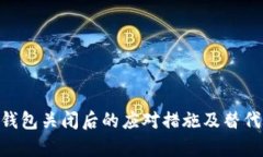 Tokenim钱包关闭后的应对措施及替代方案分析