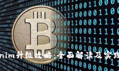 Tokenim升级攻略：全面解读及实践指南