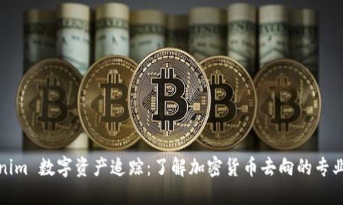 Tokenim 数字资产追踪：了解加密货币去向的专业工具