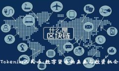 Tokenim人民币：数字货币的