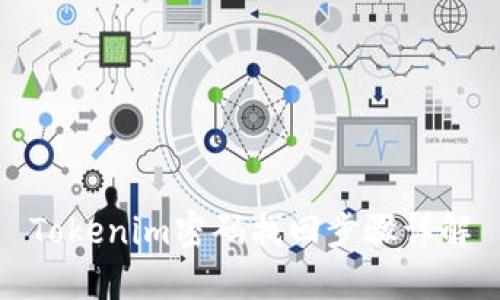 Tokenim密码找回步骤详解