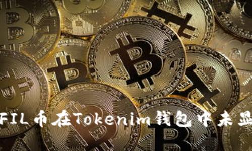 如何解决FIL币在Tokenim钱包中未显示的问题