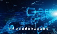 Pi币：新兴区块链的未来与