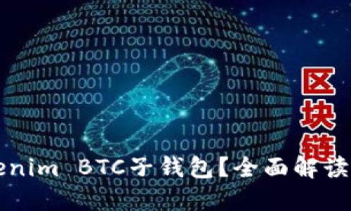 什么是Tokenim BTC子钱包？全面解读与使用指南