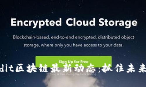 2023年十大Reddit区块链最新动态：抓住未来的数字经济机遇