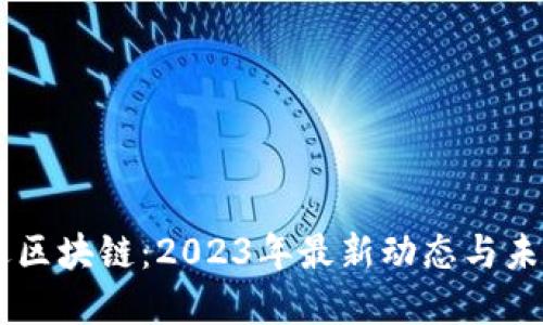 贝迪迪区块链：2023年最新动态与未来展望
