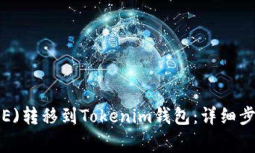 如何将欧易(OE)转移到Tokenim钱包：详细步骤及注意事项