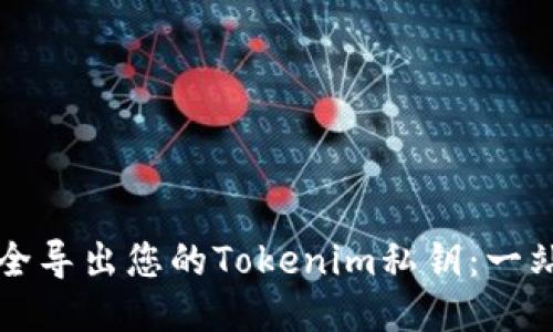 如何安全导出您的Tokenim私钥：一站式指南