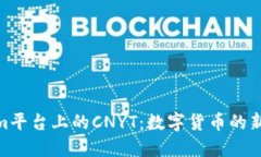 探索Tokenim平台上的CNYT：数