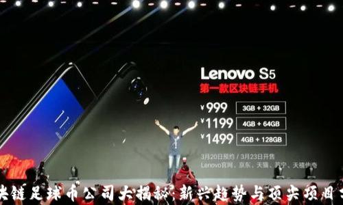 
区块链足球币公司大揭秘：新兴趋势与顶尖项目分析