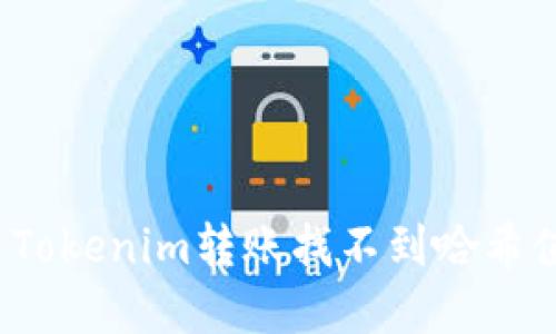 如何解决Tokenim转账找不到哈希值的问题？