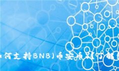 Tokenim如何支持BNB（币安币