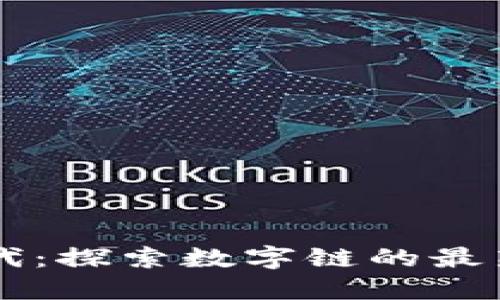 区块链新时代：探索数字链的最新趋势与应用