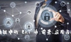 了解区块链中的 EKT 币：前
