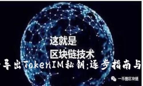 如何安全导出TokenIM私钥：逐步指南与注意事项