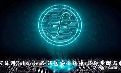 如何使用Tokenim冷钱包安全转币：详细步骤与技巧