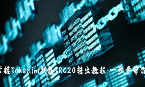 轻松掌握Tokenim钱包TRC20转出教程：一步步带你操作！