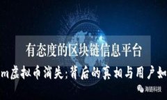 Tokenim虚拟币消失：背后的