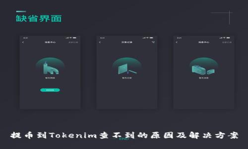 提币到Tokenim查不到的原因及解决方案