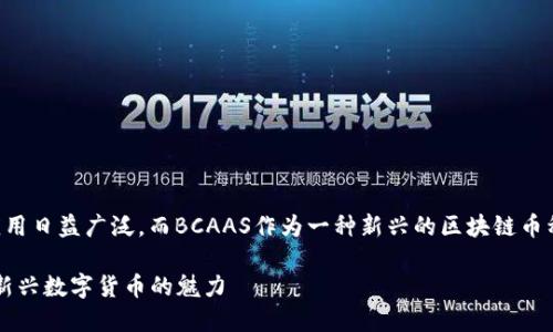 区块链技术在数字货币中的应用日益广泛，而BCAAS作为一种新兴的区块链币种，正在引起越来越多的关注。 

BCAAS区块链是什么币？探索新兴数字货币的魅力