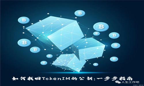如何找回TokenIM的公钥：一步步指南