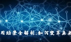 区块链币应用场景全解析