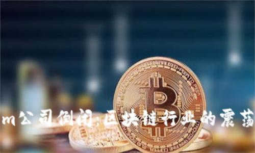 Tokenim公司倒闭：区块链行业的震荡与反思