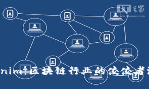 揭秘 Tokenim：区块链行业的佼佼者测评与分析