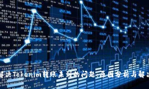 如何解决Tokenim转账未到的问题：原因分析与解决方案
