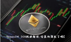 TokenIM ICO现状解析：它真的