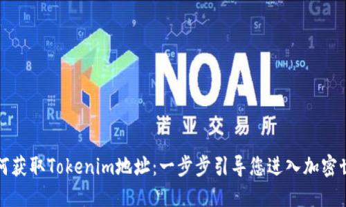 如何获取Tokenim地址：一步步引导您进入加密世界