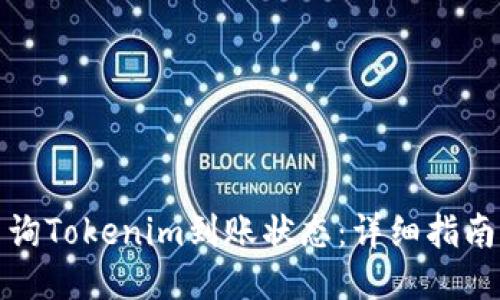 如何查询Tokenim到账状态：详细指南与技巧