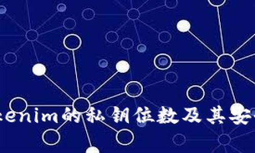 深入解析：Tokenim的私钥位数及其安全性的重要性