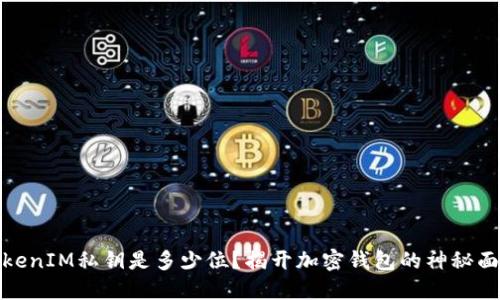 TokenIM私钥是多少位？揭开加密钱包的神秘面纱