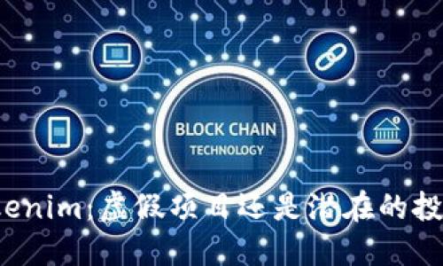 揭秘Tokenim：虚假项目还是潜在的投资机会？