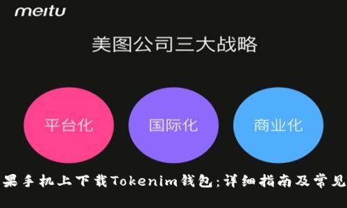如何在苹果手机上下载Tokenim钱包：详细指南及常见问题解答