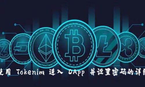 如何使用 Tokenim 进入 DApp 并设置密码的详细指南