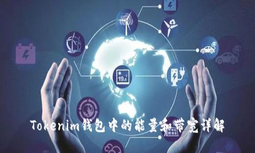 Tokenim钱包中的能量和带宽详解