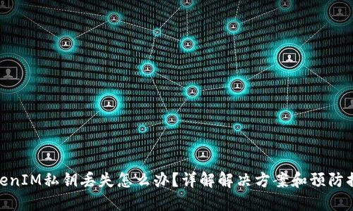 TokenIM私钥丢失怎么办？详解解决方案和预防措施